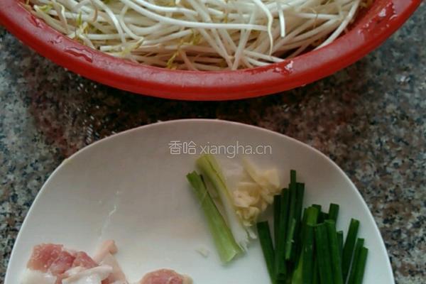 豆芽的做法图解8