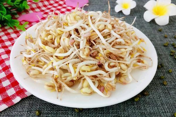 饮料瓶生绿豆芽的做法图解1