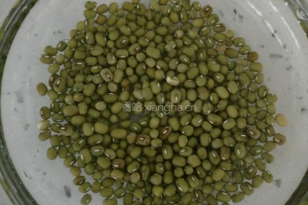 饮料瓶生绿豆芽的做法图解3