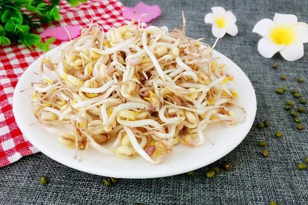 饮料瓶生绿豆芽的做法图解10