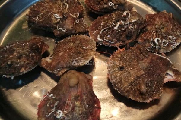 老屋私房菜 油泼蒜香扇贝的做法图解2