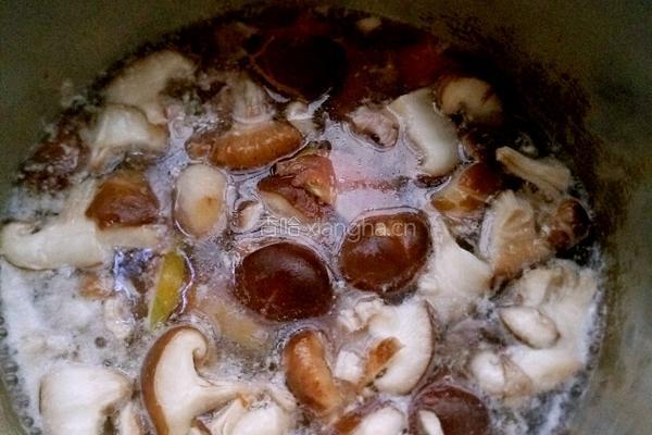 鲜冬菇番茄瘦肉汤的做法图解8