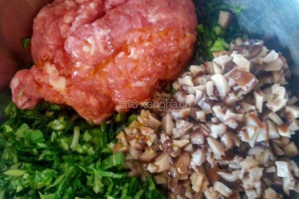 油菜香菇肉包子的做法图解4
