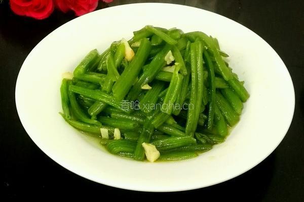 蒜香南瓜苗的做法图解6