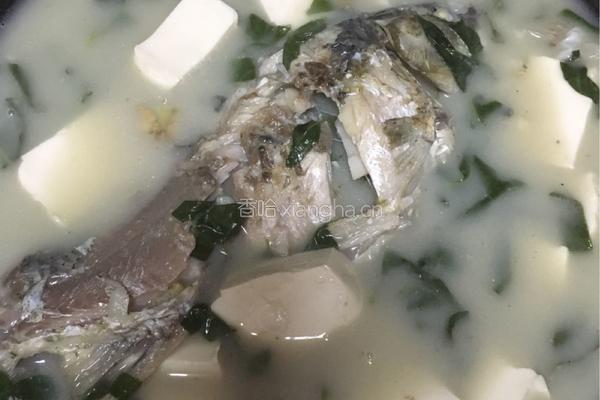 鲫鱼枸杞叶豆腐汤