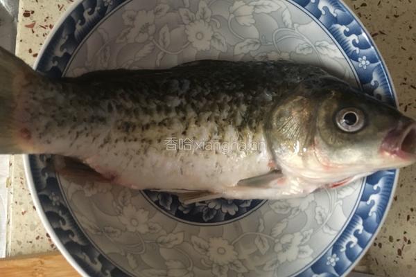 鲫鱼枸杞叶豆腐汤的做法图解1