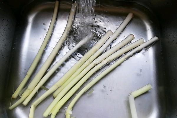 蒲菜飞鸭汤的做法图解5