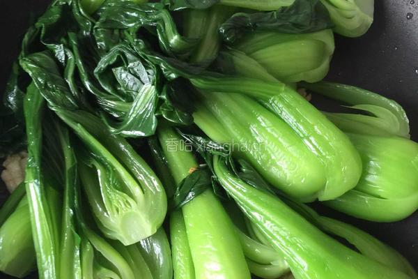 酱烧香菇油菜的做法图解3
