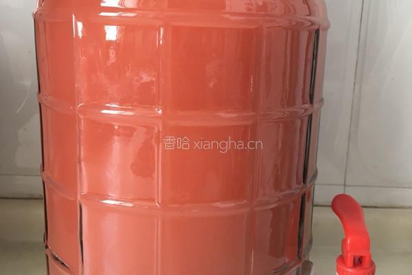 草莓酒的做法图解8