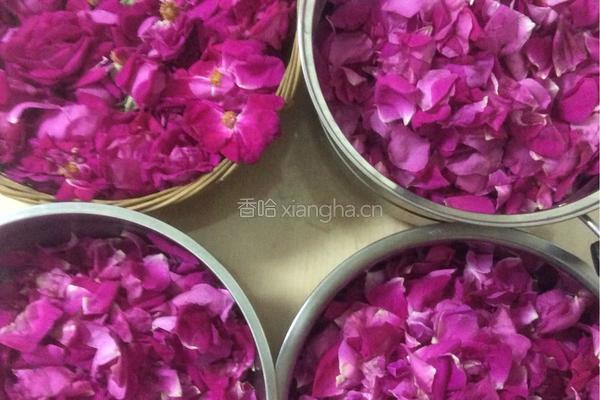 自制玫瑰酱的做法图解1