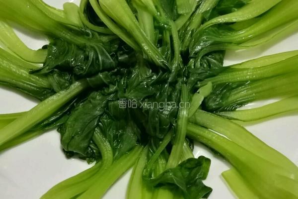 懒人排骨的做法图解5