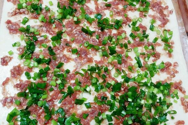 鸡蛋灌肉饼的做法图解5