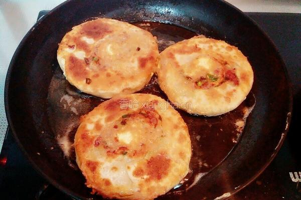 鸡蛋灌肉饼的做法图解10
