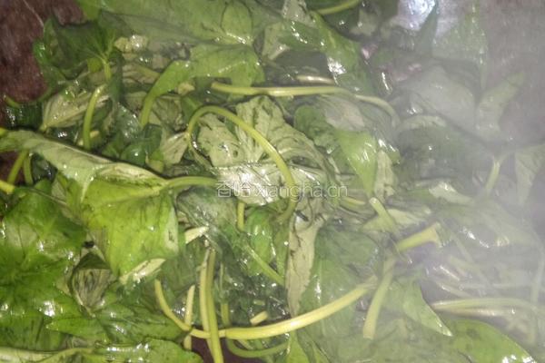 蒜炒红薯叶的做法图解2