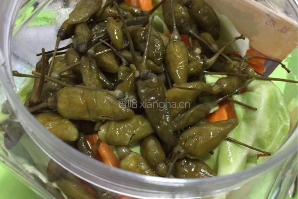 简易泡菜的做法图解7