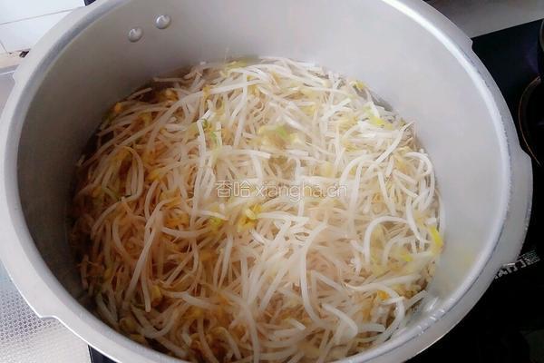 凉拌豆芽菜的做法图解1