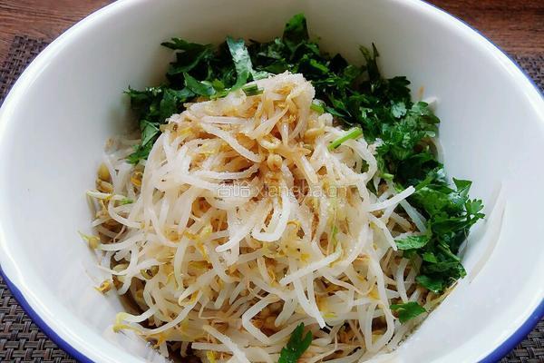 凉拌豆芽菜的做法图解4