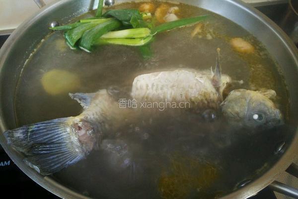 菌菇豆腐鲫鱼汤的做法图解4