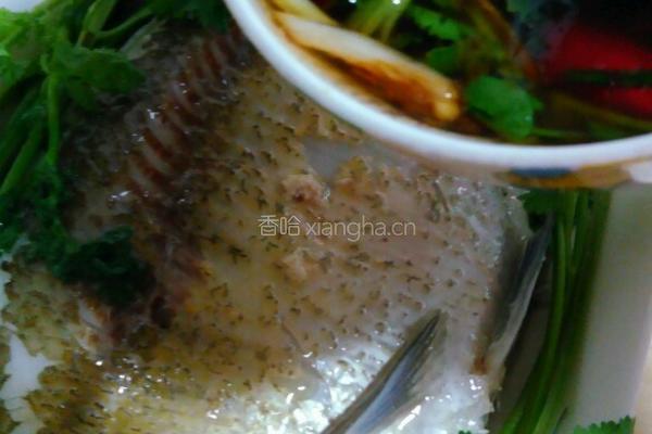 清蒸武昌鱼的做法图解5