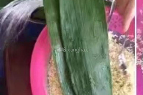 肉粽的做法图解4