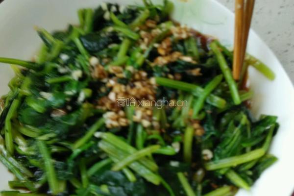 姜汁菠菜的做法图解13