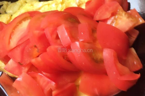西红柿炒鸡蛋的做法图解5