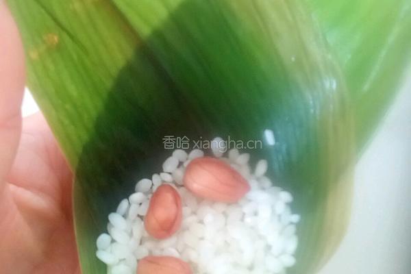 粽子的做法图解4