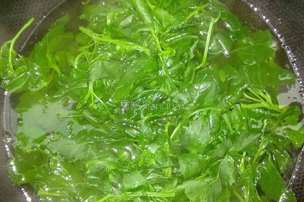 想吃凉拌野菜的做法图解2