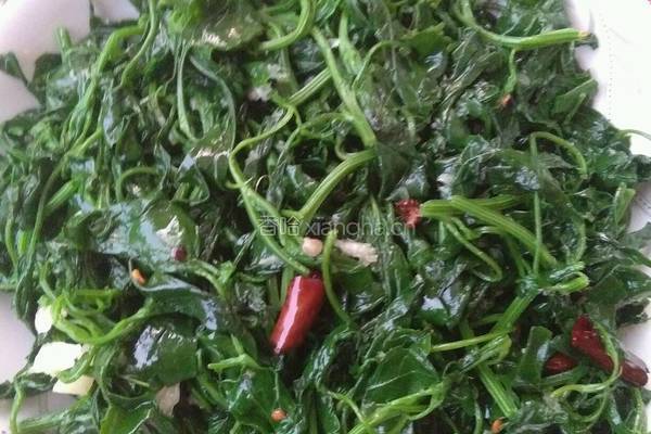 想吃凉拌野菜的做法图解5