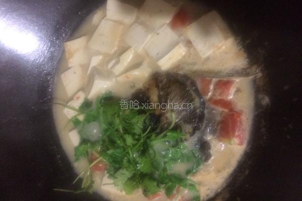 番茄豆腐鱼头汤的做法图解7