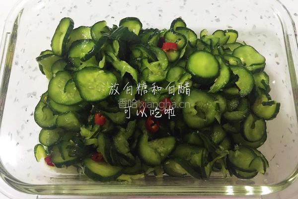 糖醋小黄瓜的做法图解4