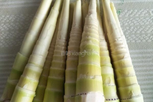 鲜笋肉丝的做法图解2