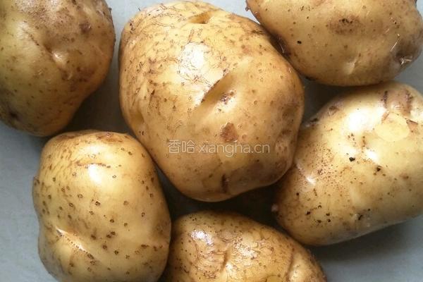 黄金土豆球的做法图解1