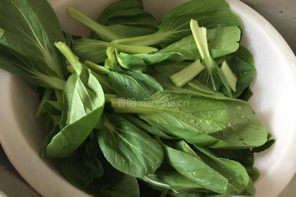 平菇炒青菜的做法图解1