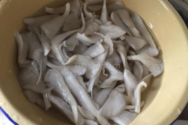 平菇炒青菜的做法图解2