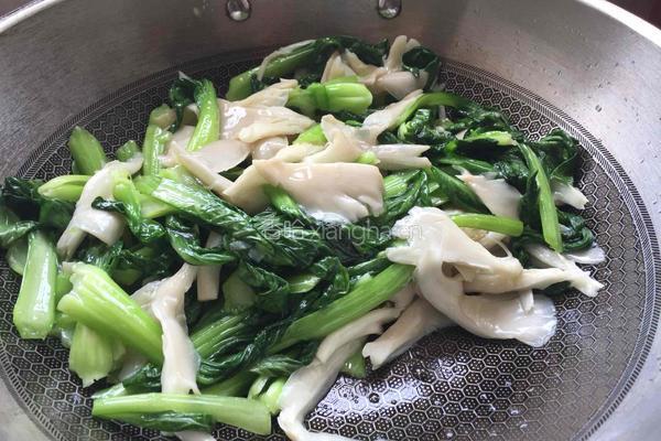 平菇炒青菜的做法图解6