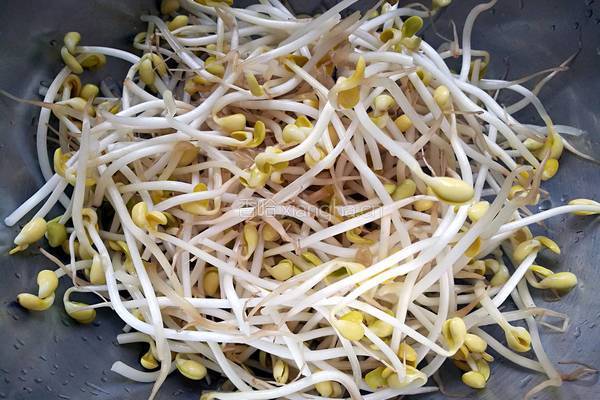 凉拌酸辣黄豆芽的做法图解1