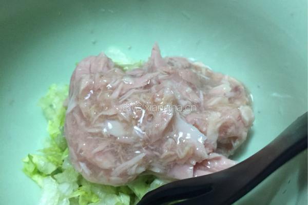 猫饭－盛夏沙拉（适用于猫咪）的做法图解2