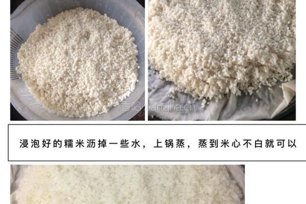 酒酿的做法图解3