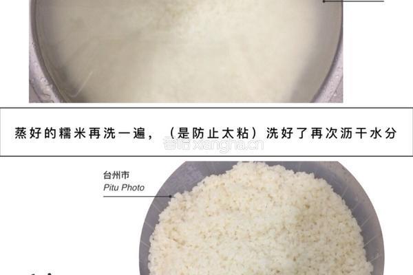 酒酿的做法图解4