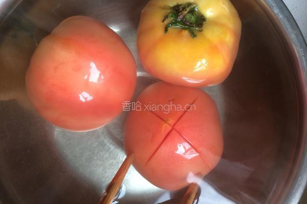 西红柿鸡蛋饺子的做法图解4