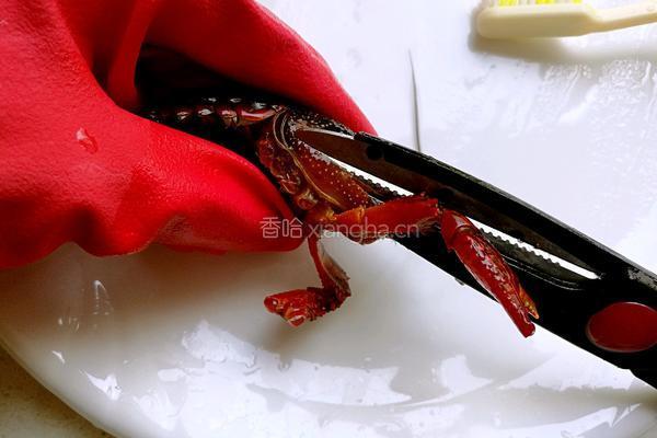 香辣小龙虾的做法图解4
