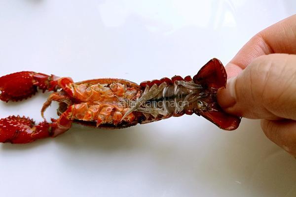 香辣小龙虾的做法图解12