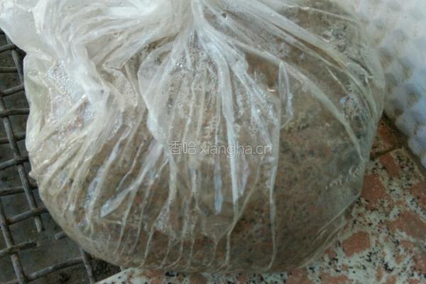 豇豆红枣粽子的做法图解5
