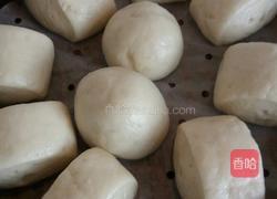 一次性发酵馒头的做法图解8