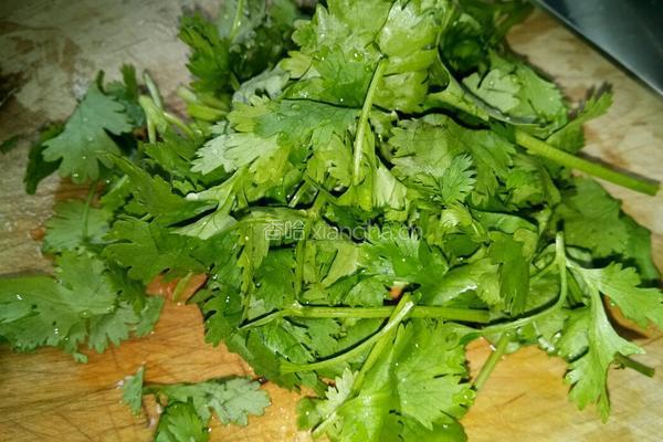 凉拌豆皮的做法图解3