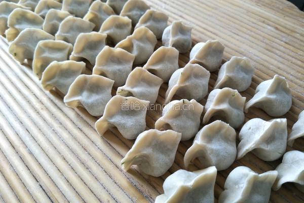 猪肉茴香馅饺子的做法图解6
