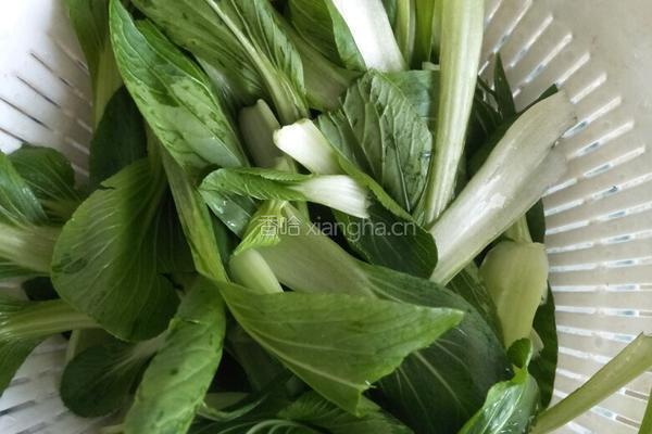 豆饼炒青菜的做法图解1