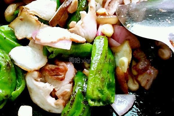 虎皮椒烧卤肉的做法图解10