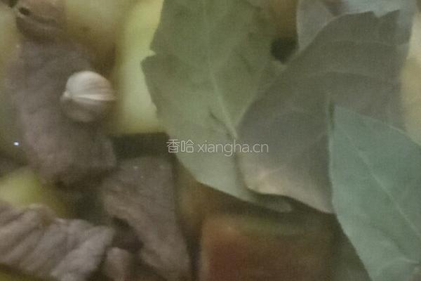酱烧冬瓜豆腐的做法图解14
